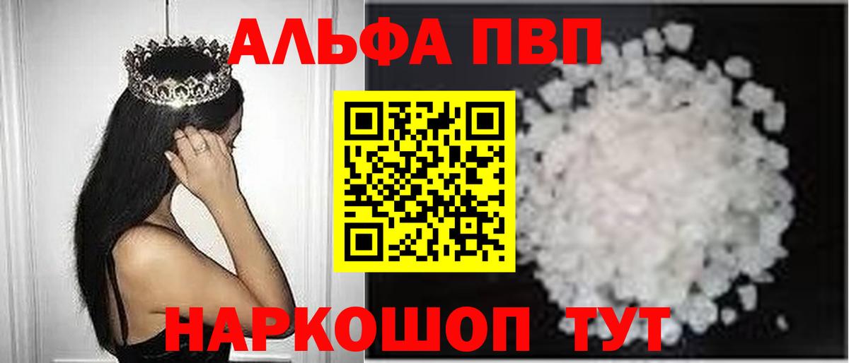A PVP СК КРИС Петропавловск-Камчатский