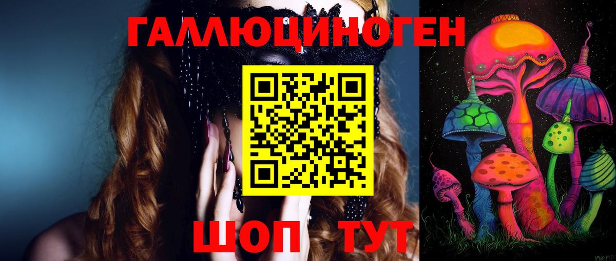 Псилоцибиновые грибы Psilocybine cubensis Петропавловск-Камчатский